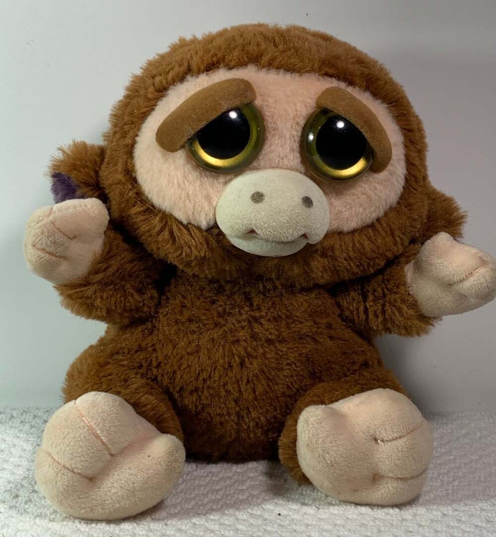 Feisty Pet Monkey 2016